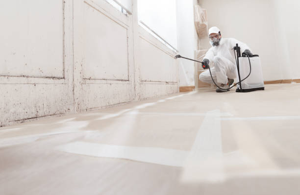 24/7 Emergency Attic Mold Removal experts in Richmond, TX