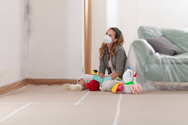 Reliable Mold Cleanup contractor in Richmond, TX by Cheap Mold Removal